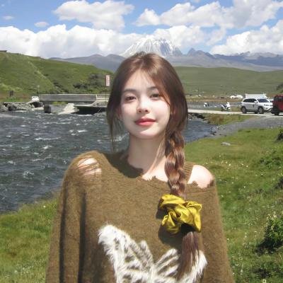 性感女特工2 海报