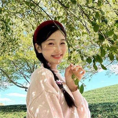 陀枪师姐2021粤语 海报